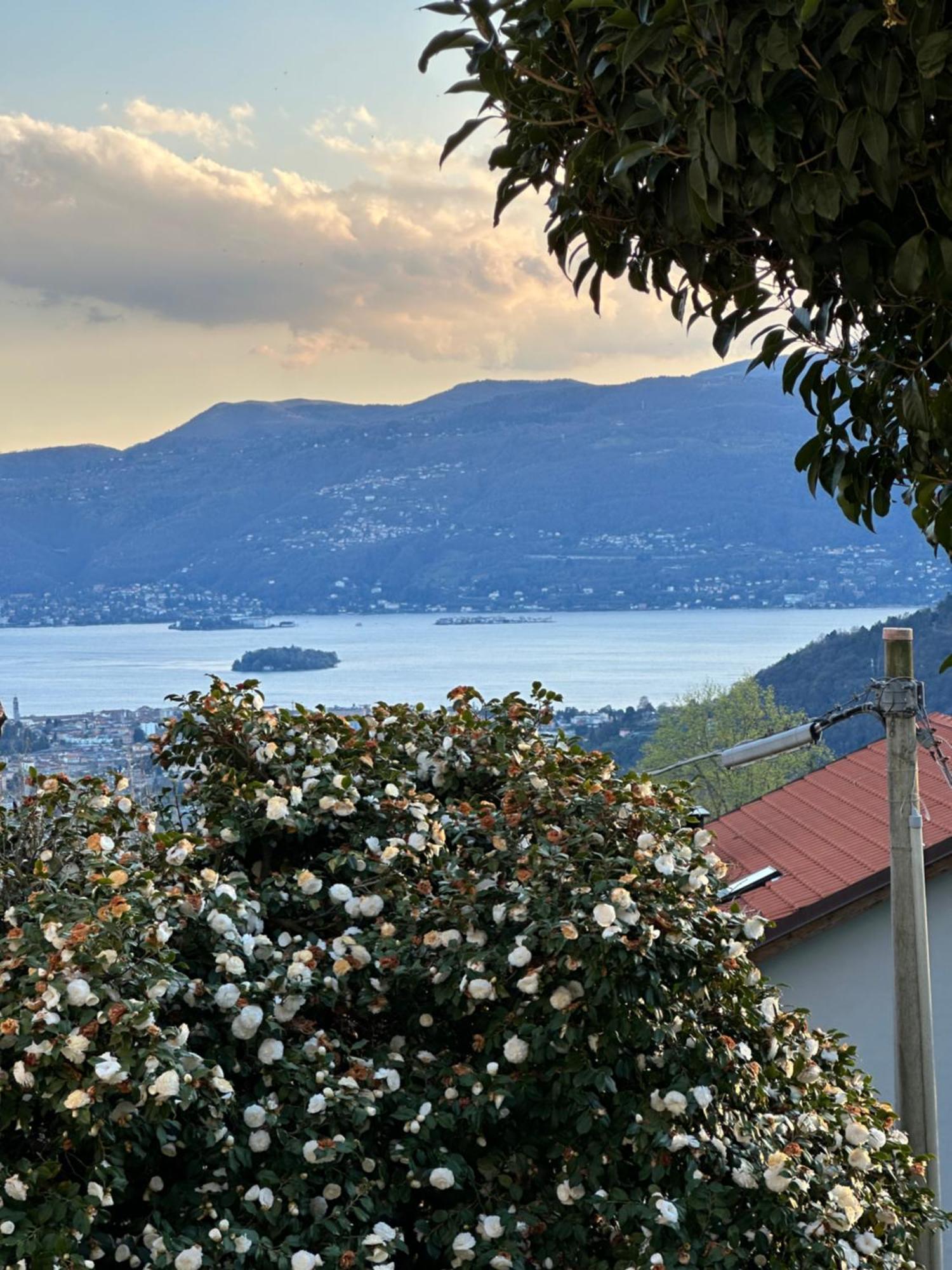 Villa Simonetta Bee Екстериор снимка